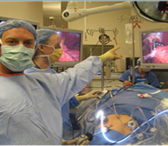 Neocardiogenesis Foundation Inc.